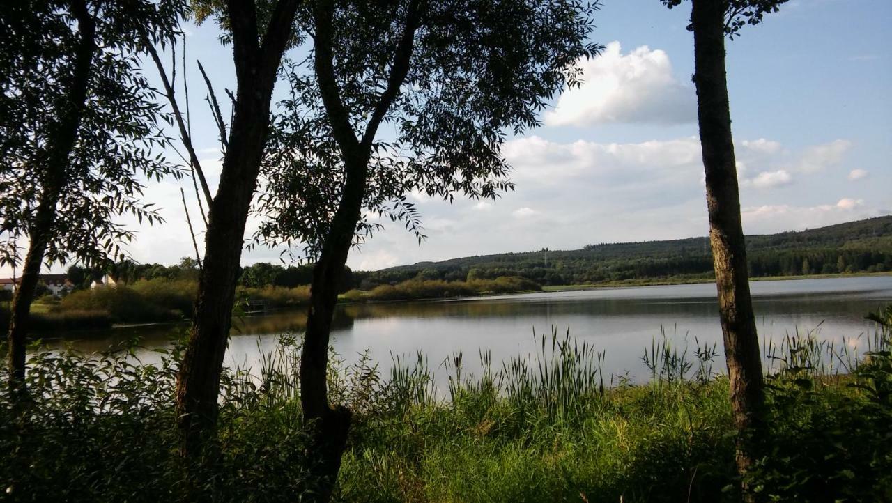 Ferienwohnung In Der Vulkaneifel Ulmen Екстериор снимка