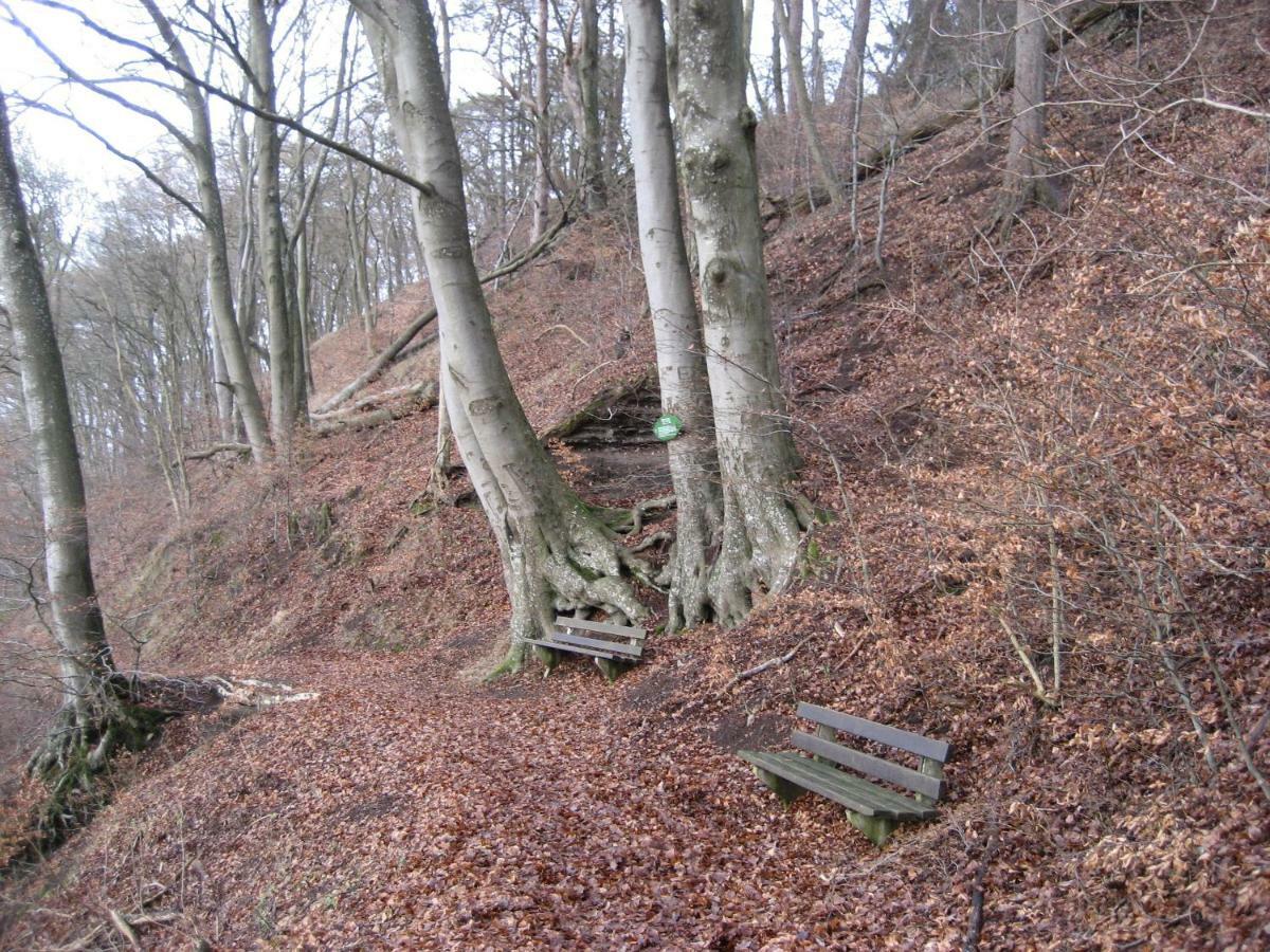 Ferienwohnung In Der Vulkaneifel Ulmen Екстериор снимка