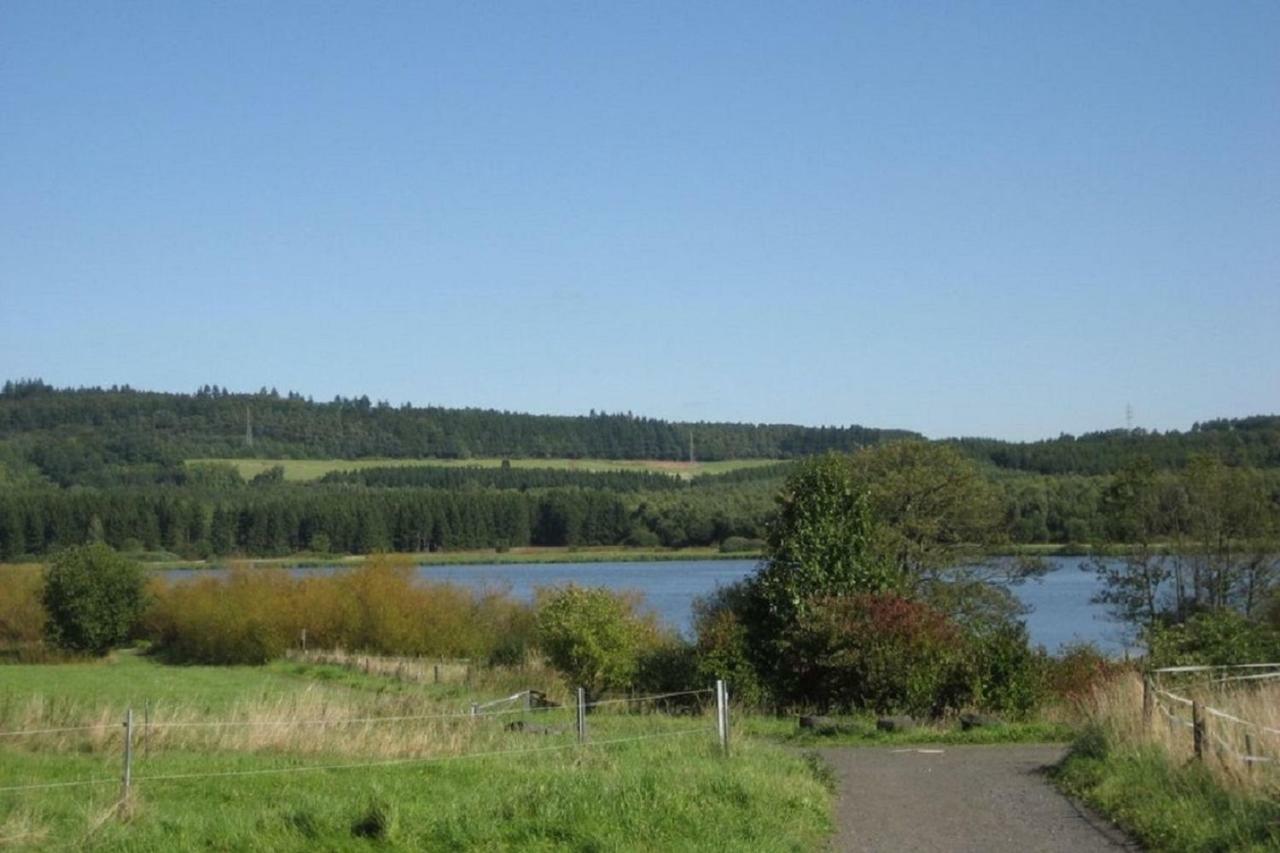 Ferienwohnung In Der Vulkaneifel Ulmen Екстериор снимка
